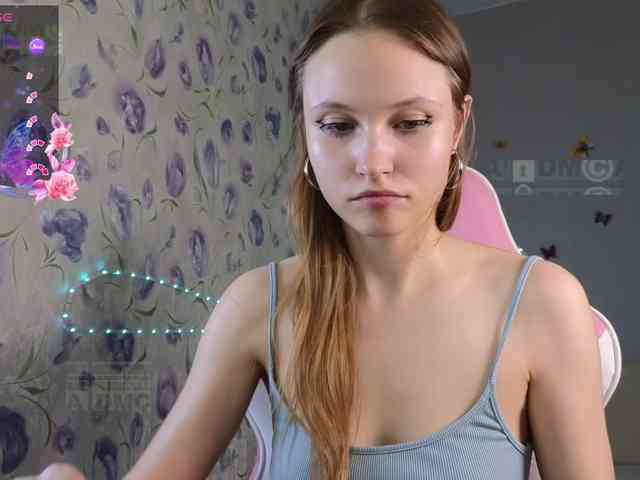 Armura webcam