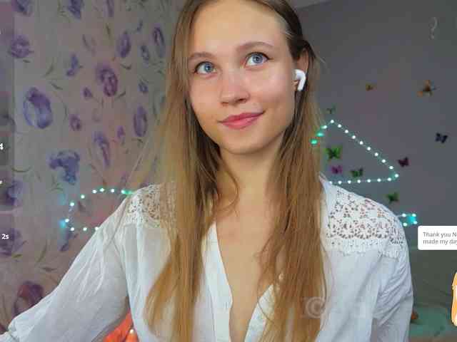 Armura webcam