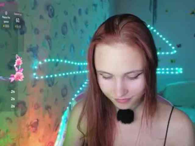 Armura webcam