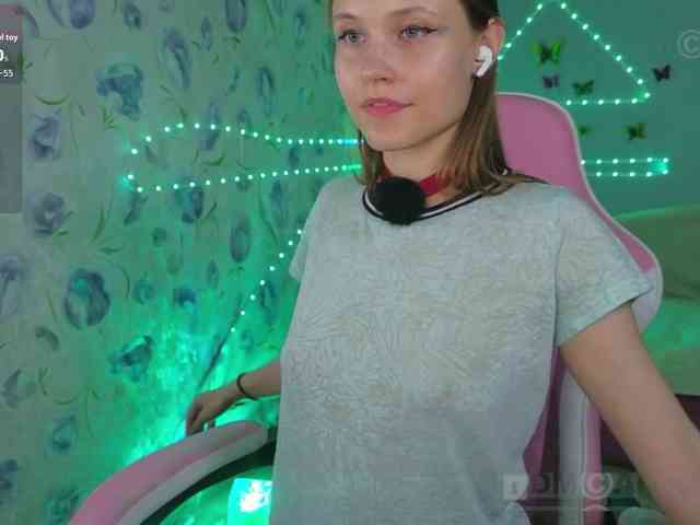 Armura webcam