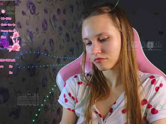Armura webcam