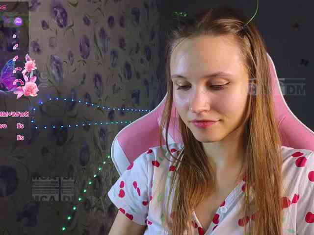 Armura webcam