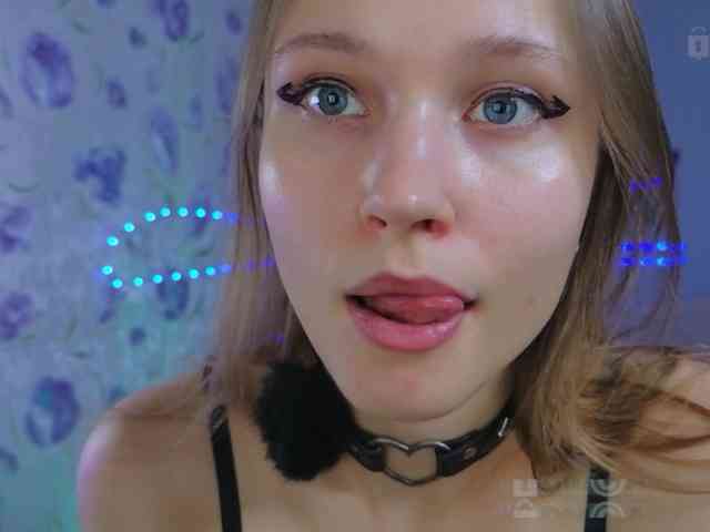 Armura webcam