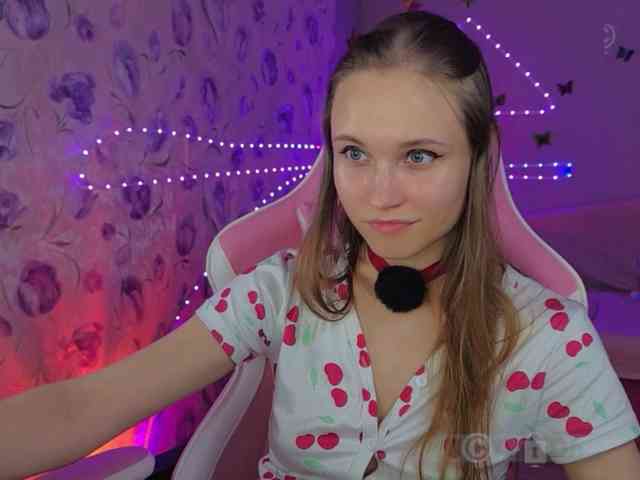 Armura webcam