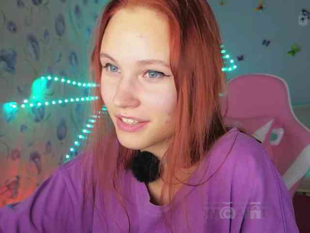 Armura webcam