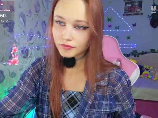 Armura webcam