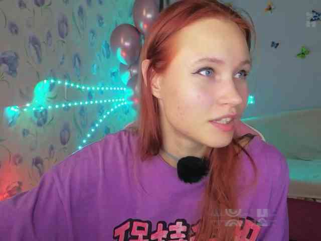 Armura webcam
