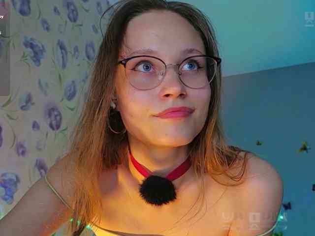 Armura webcam