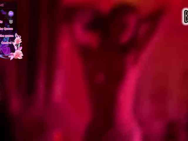 Armura webcam