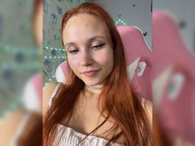 Armura webcam