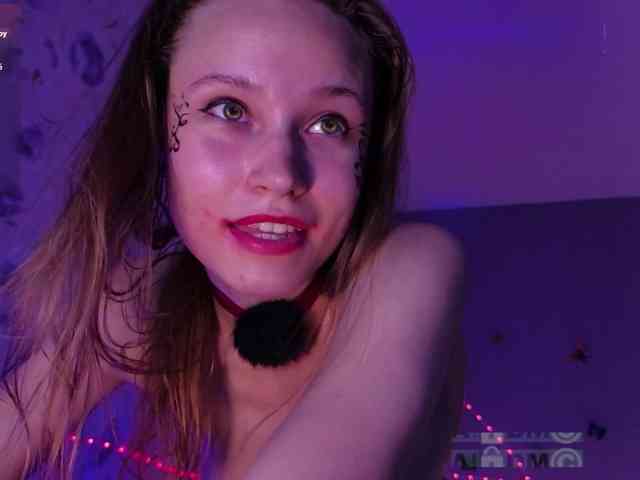 Armura webcam