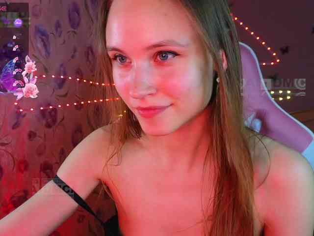 Armura webcam