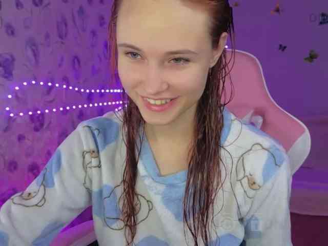 Armura webcam