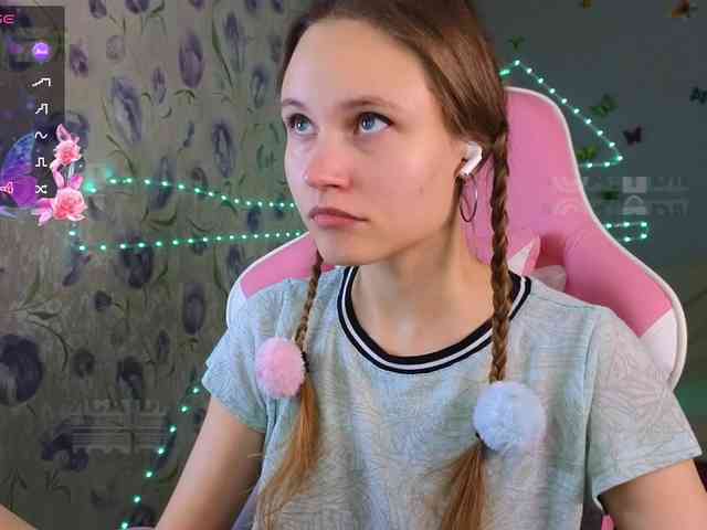 Armura webcam