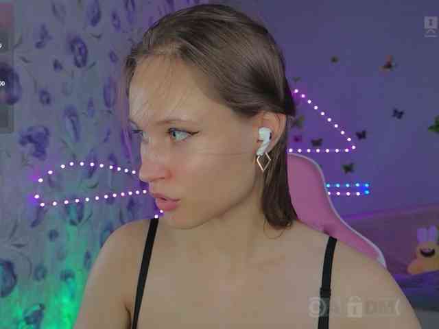 Armura webcam