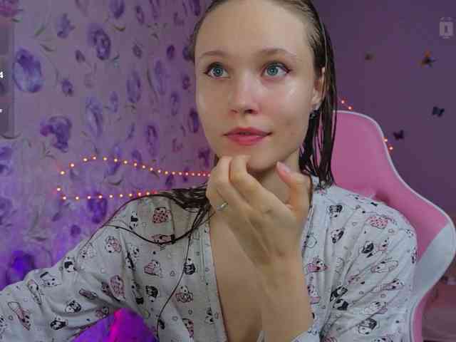 Armura webcam