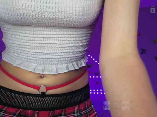 Armura webcam