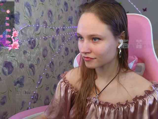 Armura webcam