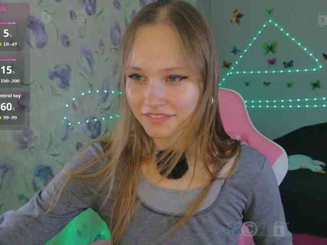 Armura webcam