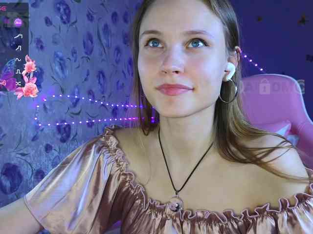 Armura webcam