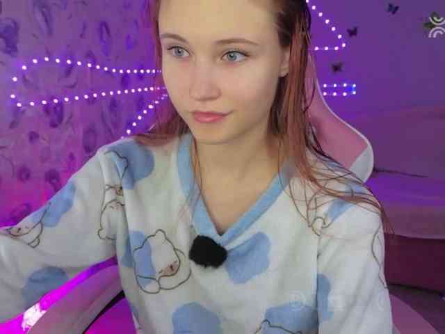 Armura webcam