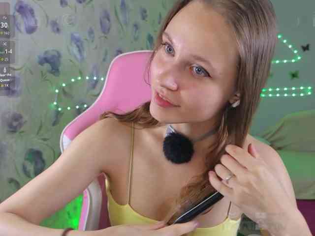 Armura webcam