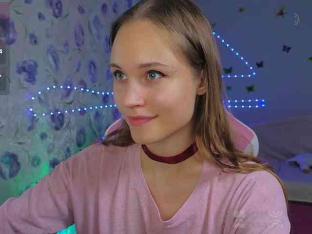 Armura webcam