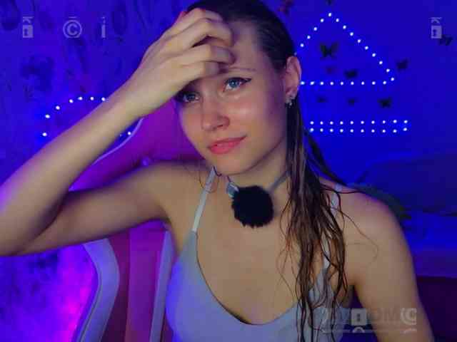 Armura webcam