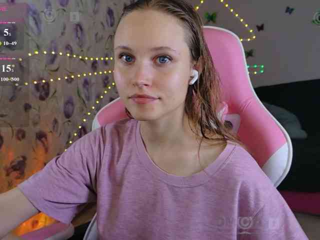 Armura webcam