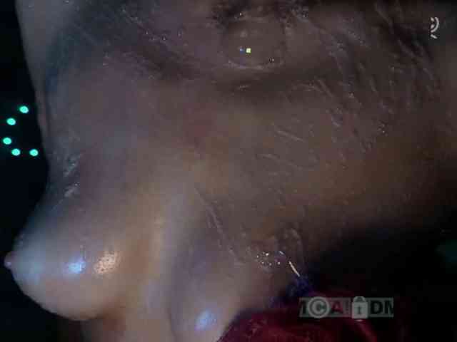 Armura webcam
