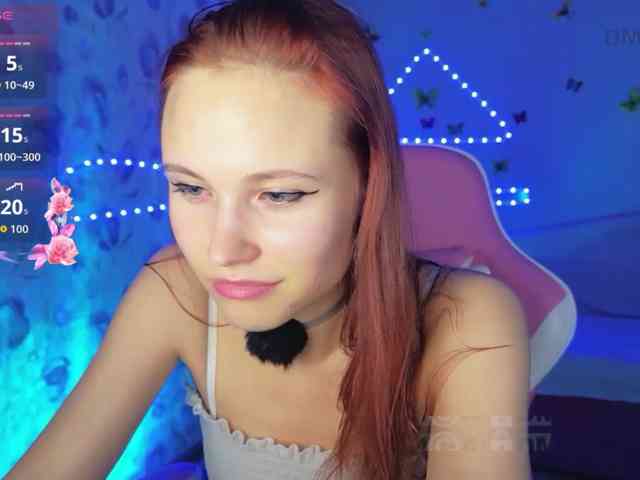 Armura webcam