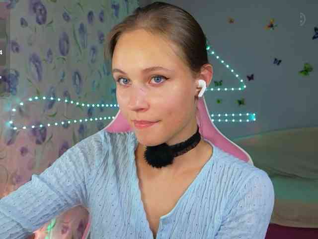 Armura webcam