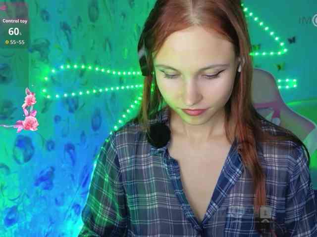 Armura webcam