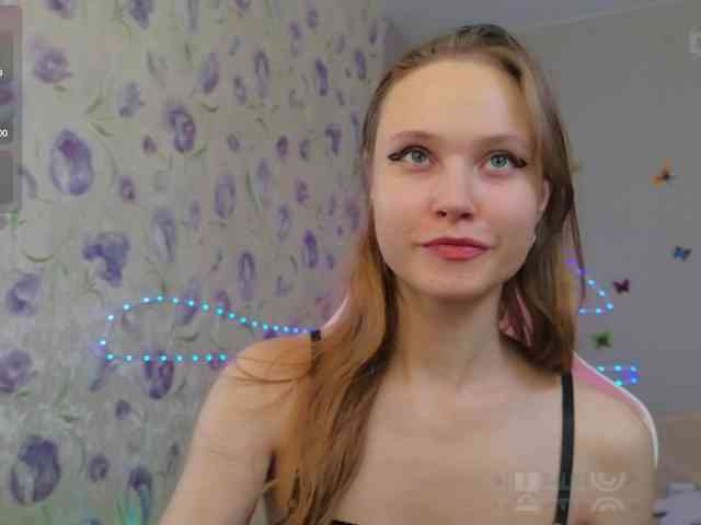 Armura webcam