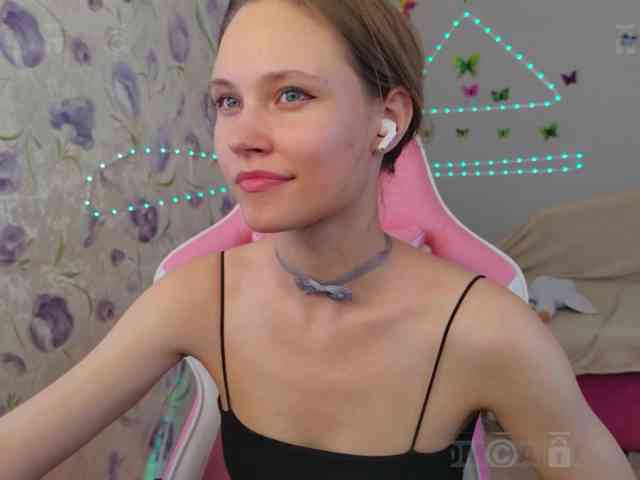 Armura webcam
