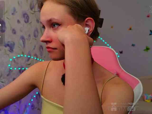 Armura webcam