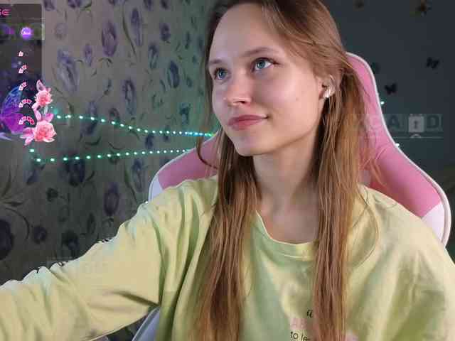 Armura webcam