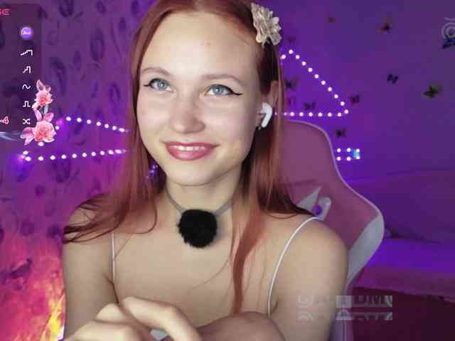 Armura webcam
