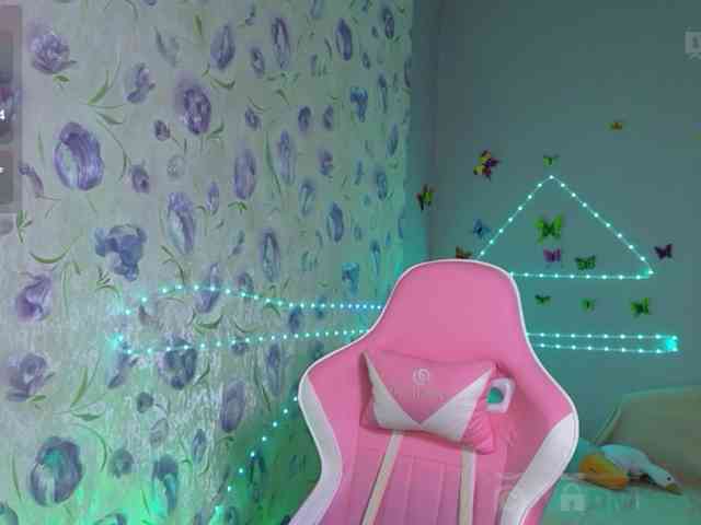 Armura webcam