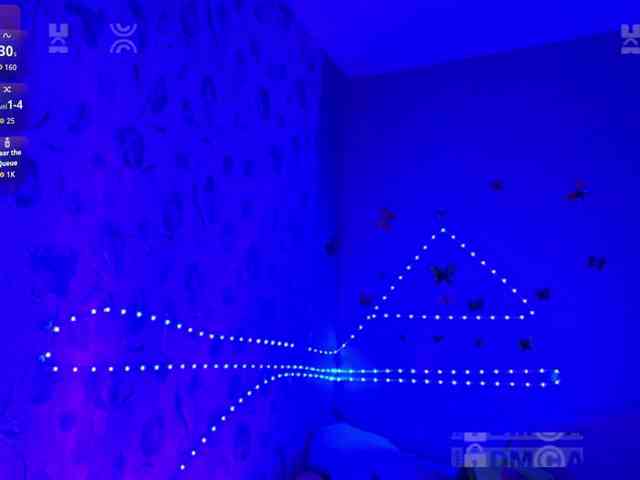 Armura webcam