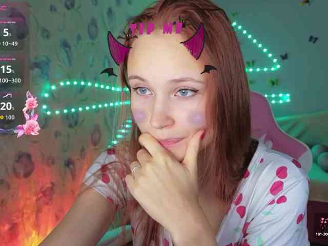Armura webcam