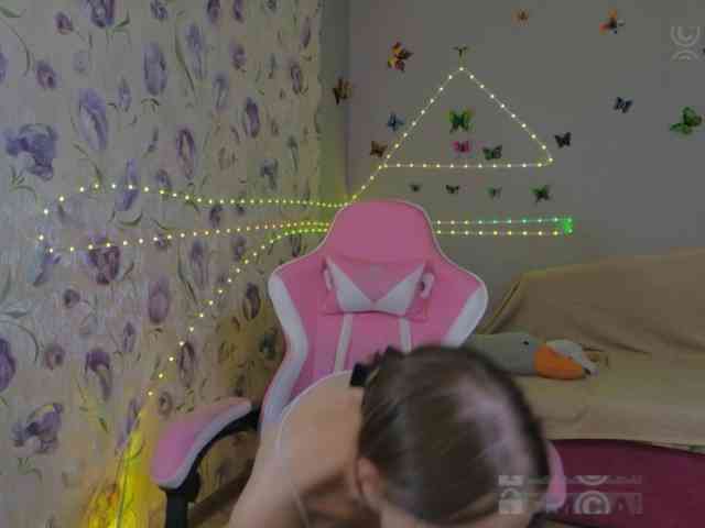 Armura webcam