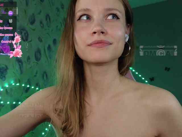 Armura webcam