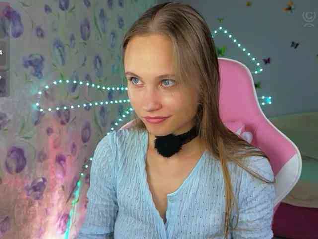 Armura webcam