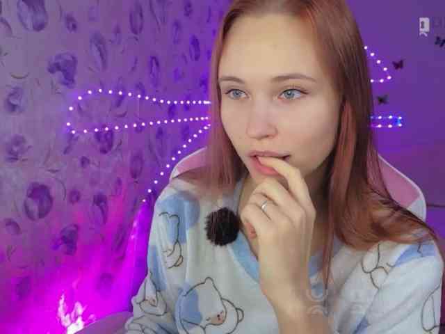 Armura webcam