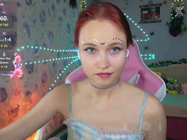 Armura webcam