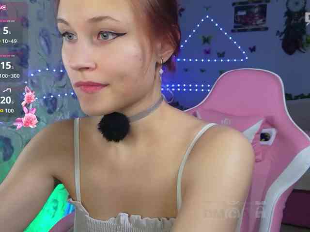Armura webcam