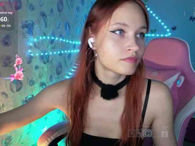Armura webcam