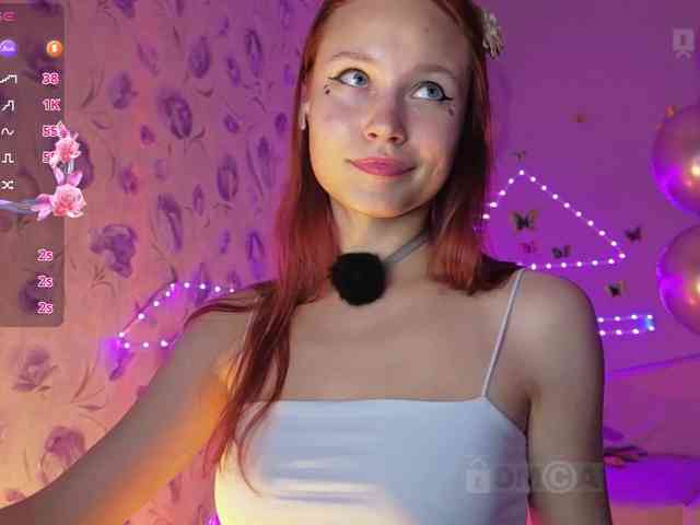Armura webcam