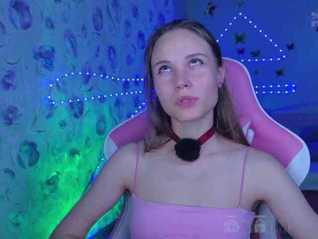 Armura webcam